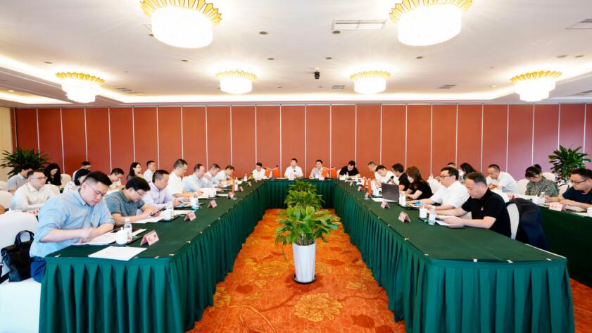 玩彩网集团召开6月“谋划提升年”事情例会