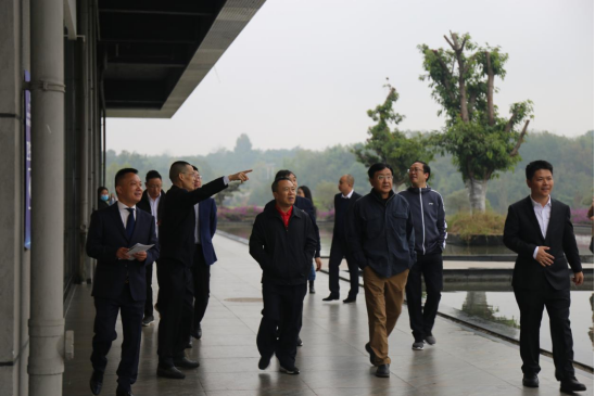 玩彩网集团外部董事一行调研聚峰谷项目