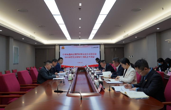 玩彩网集团党委书记、董事长任丁出席逍遥旅馆集团2022年度党员向导干部民主生涯会