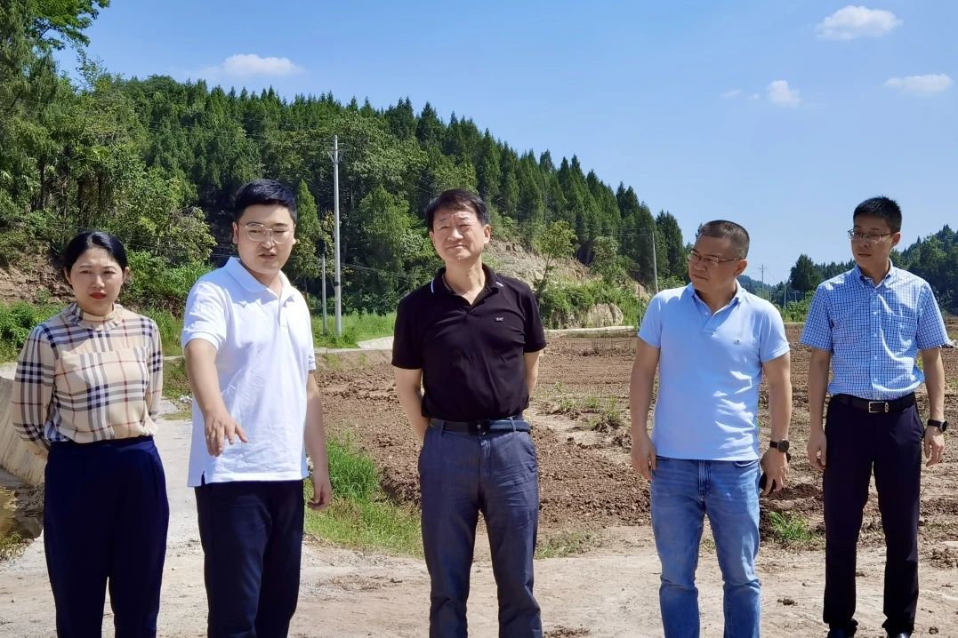 省玩彩网集团党委书记、董事长任丁率队赴巴中南充两地开展帮扶事情