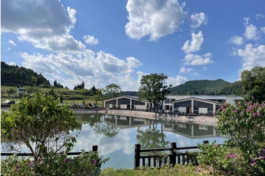 cc8f6eaf-1bc2-4410-b5a5-aaef49fc8d5f