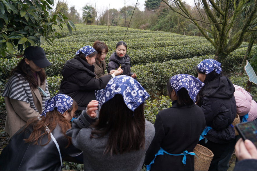 省玩彩网集团下属企业组织开展“三八”国际劳动妇女节主题活动