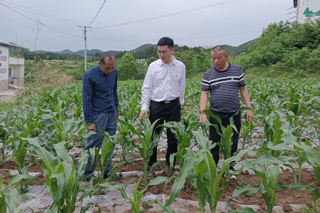 05419f4e-0707-4885-96cb-5cd4ce979c51