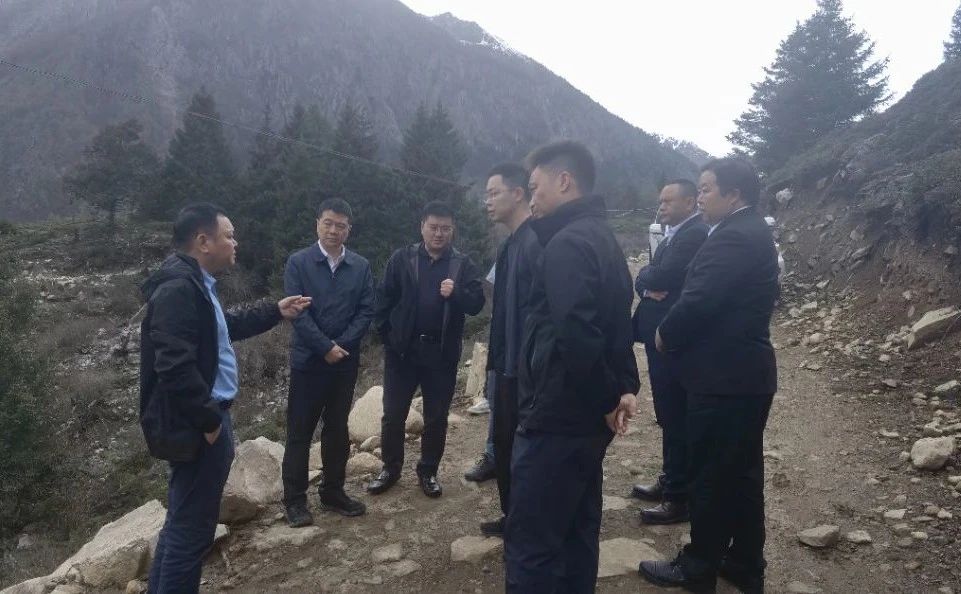 502d956b-61db-4914-b08d-cdb62de8dcd4